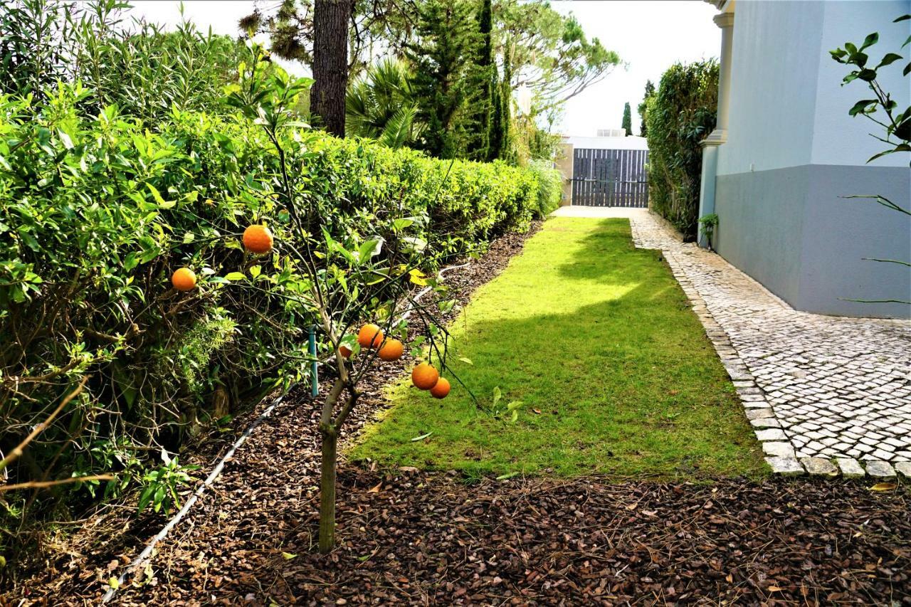 Charming Exceptional Golf Villa In Algarve Фару Экстерьер фото